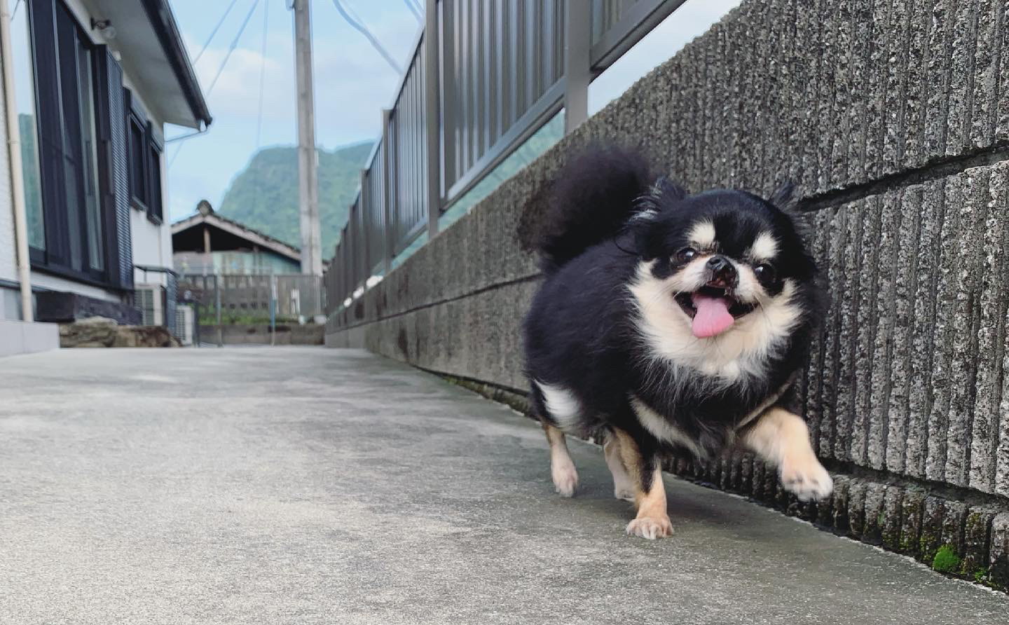 「3年待っとけ」